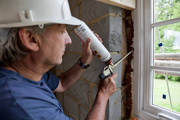 Best Insulation Removal  in Matteson, IL