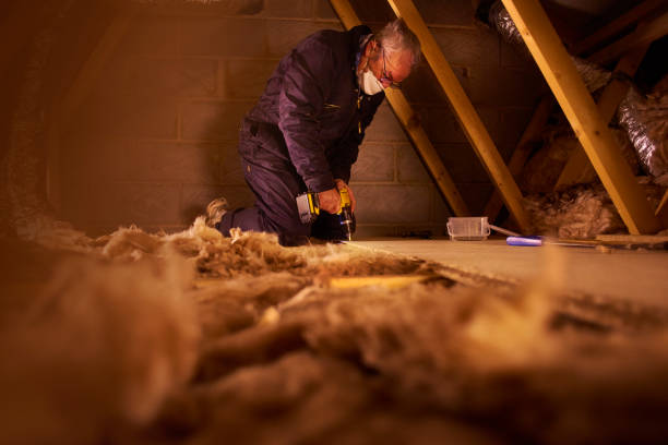 Best Insulation Repair Services  in Matteson, IL
